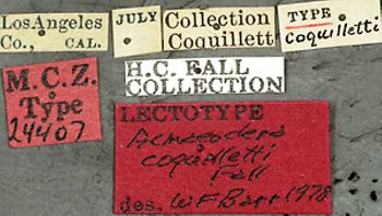 Media type: image;   Entomology 24407 Aspect: labels